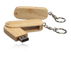 USB Stick Holz Expert 
